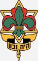צופים
